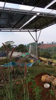 Bán Gấp 9.6 Sào Cà Phê Đắk P'Lao, Đắk Nông - Sẵn Vườn, Giá 1.5 Tỷ