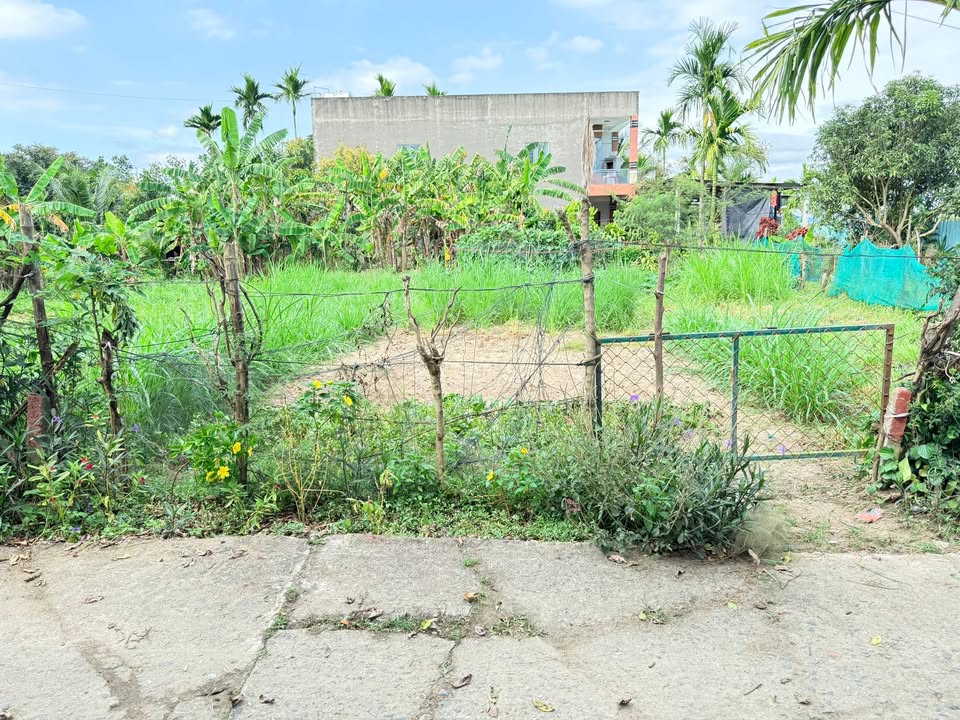 Đất Nền Điện Hòa 100m² - Sổ Đỏ Sẵn Sàng - Đầu Tư Sinh Lời