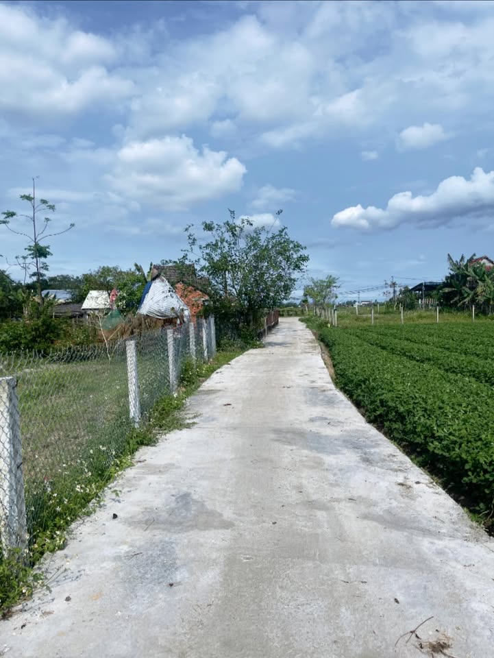 Đất Vườn 219m² Thăng Bình - Sổ Đỏ Chính Chủ, Giá Tốt