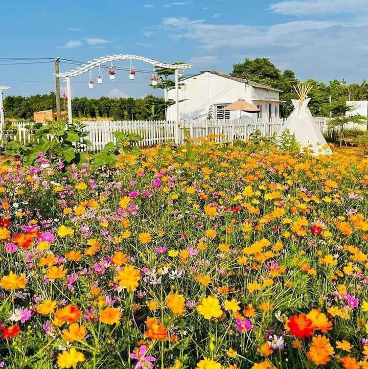 Đất nền Tuy Hòa 126m² - Sổ đỏ chính chủ, 450 triệu!