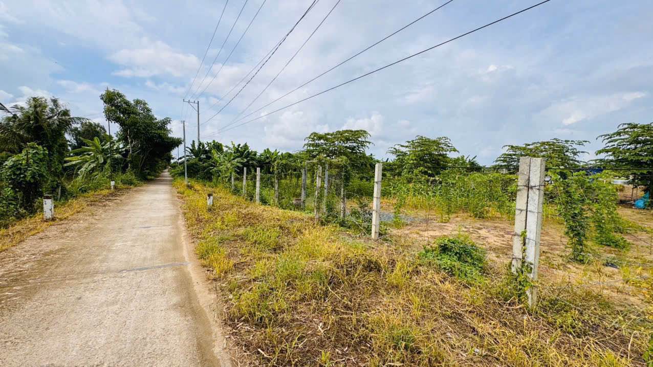 Đất Vườn An Giang 1100m² - Sổ Sẵn, Giá 1.65 Tỷ, Cạnh Cầu Đức Thành 1