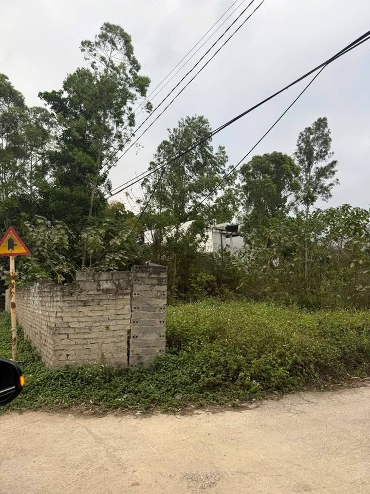 Đất nền Vĩnh Yên 84m² hơn 1 tỷ - Tiềm năng tăng giá vượt trội!