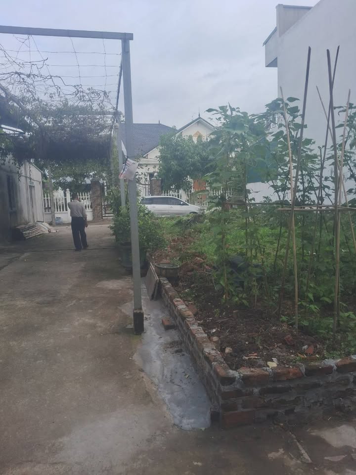 Bán Đất 135m² Hoàng Lâu, Tam Dương, Vĩnh Phúc - 3 Mặt Tiền Đẹp, Sổ Đỏ