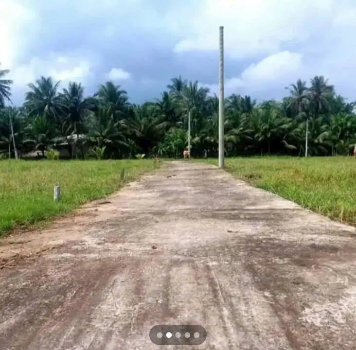 Đất nền Long Đức, Trà Vinh 125m² - Tiềm năng tăng giá!