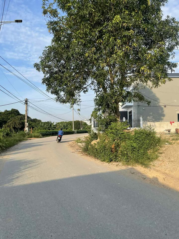 Đất nền 141m² gần KCN Phú Hà, Phú Thọ - Tiềm năng kinh doanh trọ cực lớn