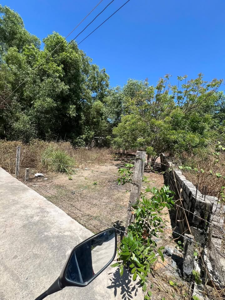 Bán đất 160m² Thống Nhất, Tân An - Sổ hồng riêng, ô tô vào nhà