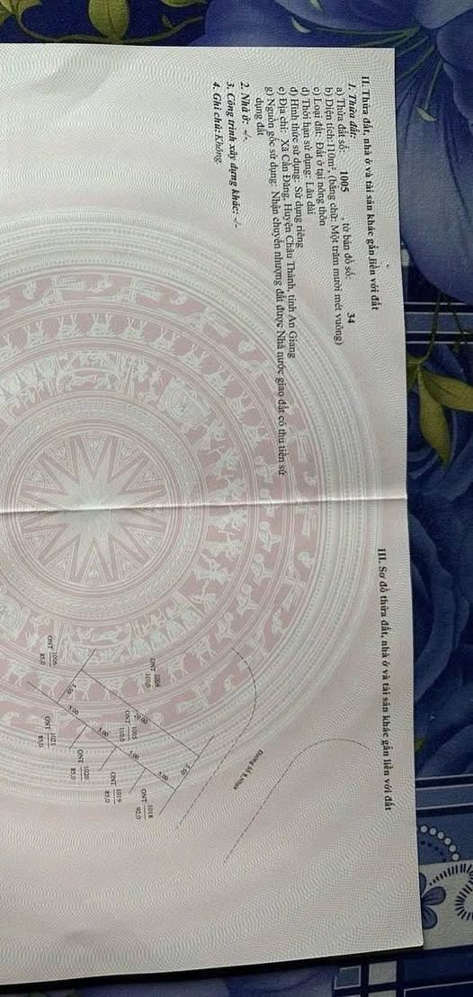 Bán đất nền 110m² Khu Đô thị Cần Đăng, An Giang - Sổ đỏ sẵn sàng giao dịch