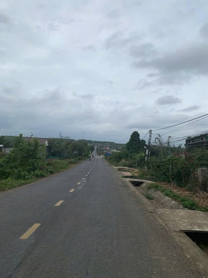 Đất MT Đường Nhựa Lớn, TT Đăk Mâm, Lạc Dương, Lâm Đồng - 500m² Giá Tốt