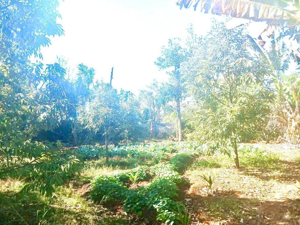 Bán 4 Lô Đất Vàng Đường Hoàng Diệu, Hòa Thắng - Sổ Đỏ 150m²