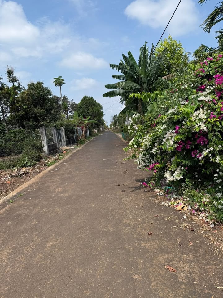 Đất nền Buôn Ma Thuột 620m² giá 1.35 tỷ - Tiềm năng tăng giá vượt trội!