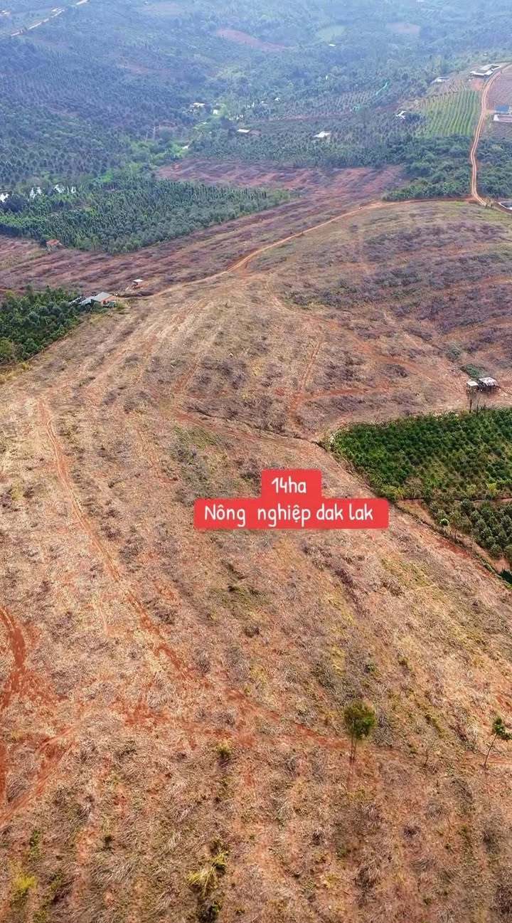 Bán 14ha Đất Đỏ Bazan Ea Kiết, Đắk Lắk - Giá Đầu Tư 280 Triệu/Sào
