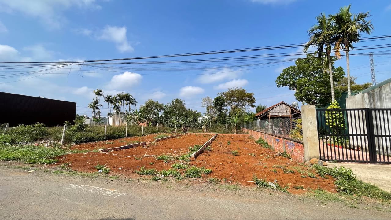 Đất nền Phường Tân An BMT 95m² giá 1.698 tỷ - Tiềm năng tăng giá vượt trội!