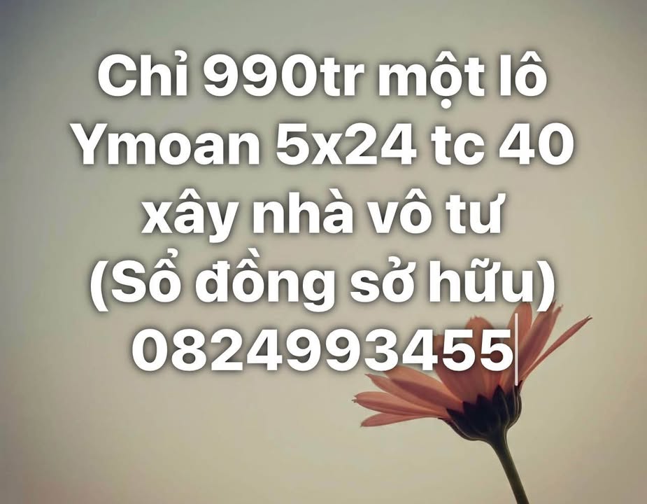 Đất Nền Buôn Ma Thuột 120m² Sổ Đồng Sở Hữu - Giá F0 990 Triệu