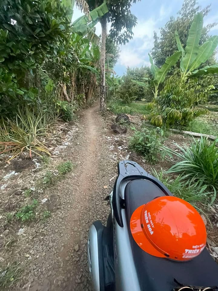 Đất vườn Phú Thịnh, Đồng Nai 2700m² - Sổ đỏ chính chủ, 800 triệu