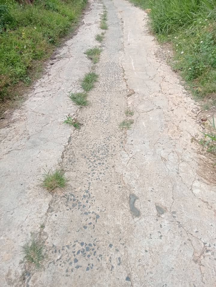 Bán Đất Vườn Di Linh 10800m² - Sổ Đỏ Riêng, Giá Đầu Tư 1.4 Tỷ