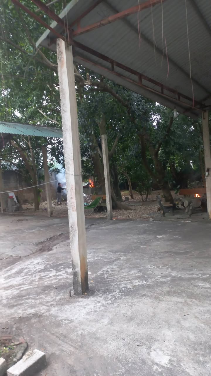 Kho xưởng Thạch Thất Hà Nội 1.000m² - Hoạt động ngay