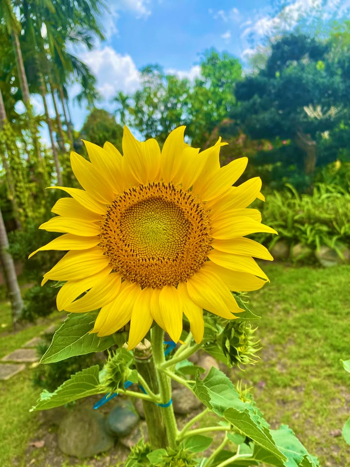 Đất nền KDC Hồng Phát Cần Thơ 94m² - Pháp lý rõ ràng!