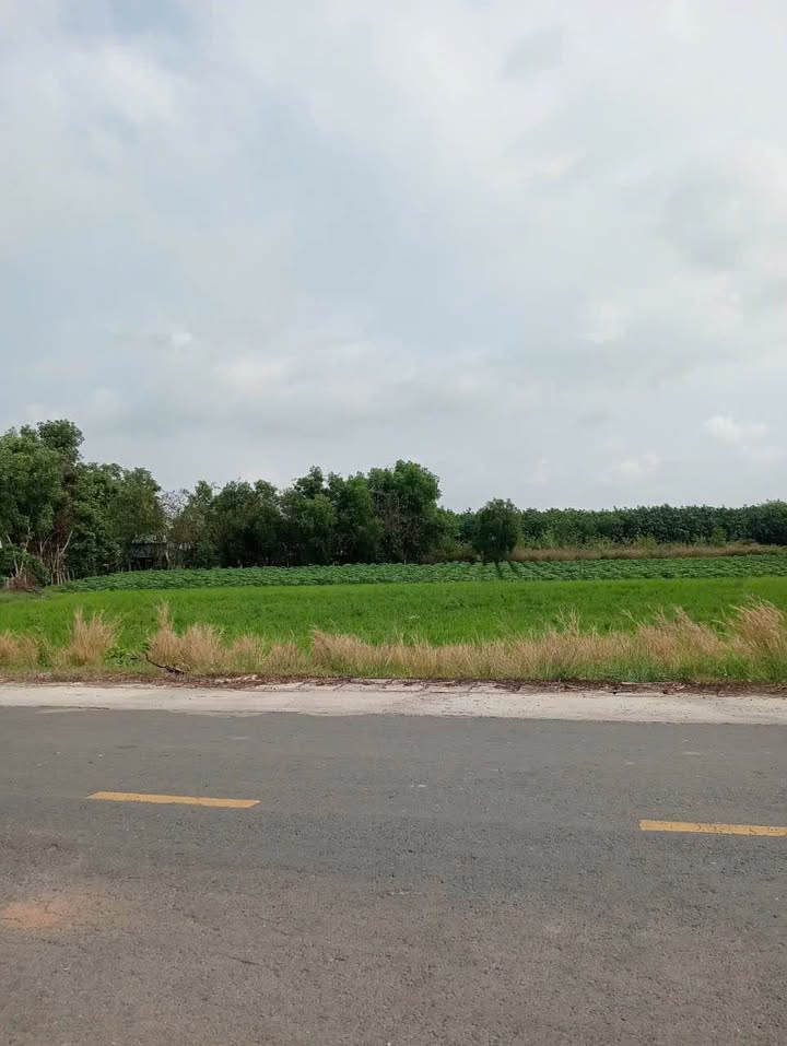 Đất Mặt Tiền Bến Cừ, Tây Ninh 6828m² - Tiềm năng tăng giá vượt trội!