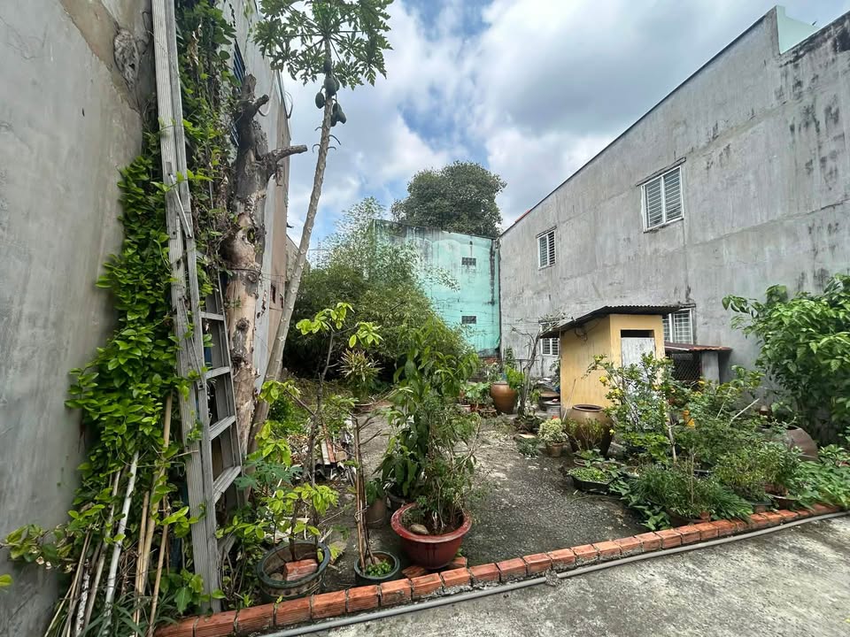 Khuôn đất mặt tiền Phú Nhuận 115m² nhỉnh 14 tỷ - Sổ đỏ chính chủ!