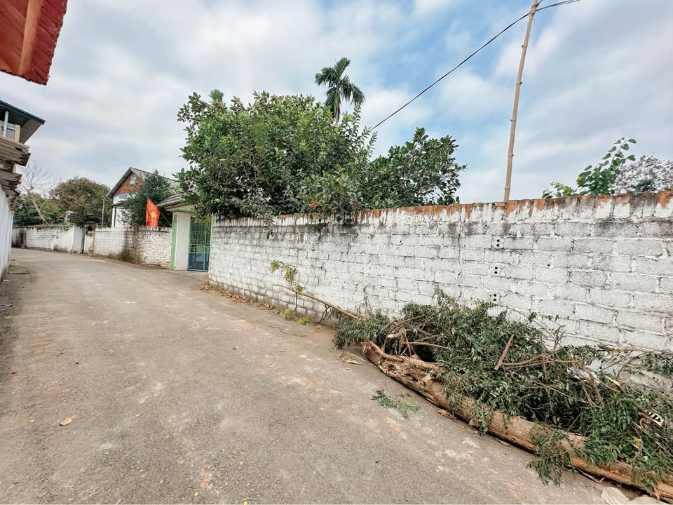 Lô đất Duy Phiên, Tam Dương 98m² - Đất thổ cư 100%, pháp lý chuẩn!