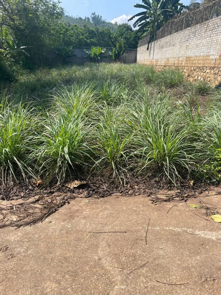 Đất nền Quang Tiến, Thái Hòa 210m² - Đất thổ cư 100%, xây dựng tự do!