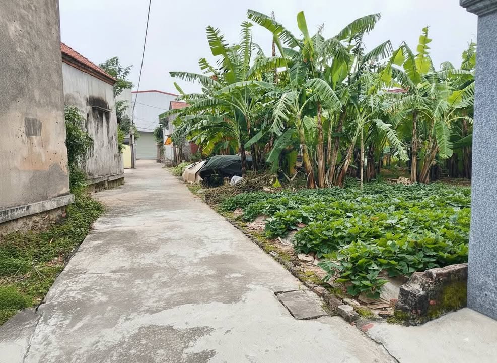 Đất nền Long Xuyên, Bình Giang 96.2m² - Đất thổ cư 100%, sổ đỏ sẵn sàng!