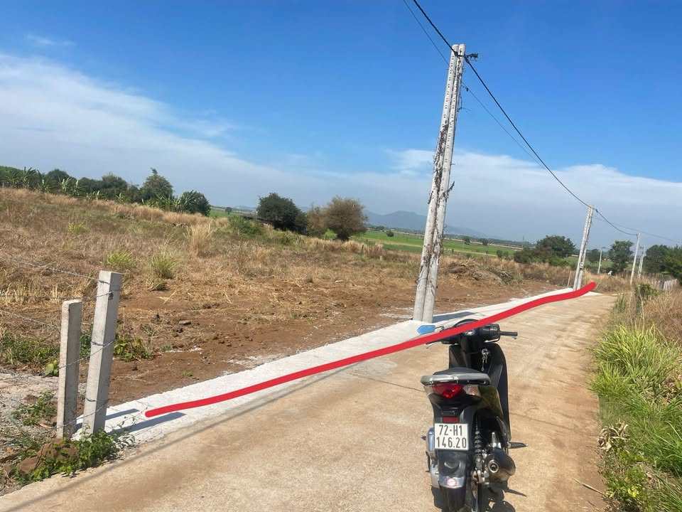 Đất Vườn 3.577m² Nhánh Nam Kỳ Khởi Nghĩa, Đất Đỏ - Đầu tư sinh lời