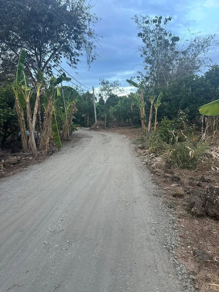 Đất nền Phú Tân, Đồng Nai 8000m² - Sổ đỏ chính chủ, tiềm năng tăng giá!