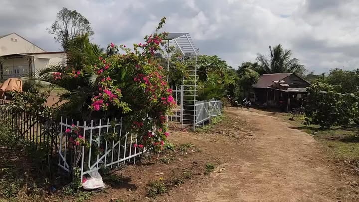 Bán Gấp Đất Vàng Xã Lệ Xá, Hưng Yên - Góc 2 Mặt Tiền 760m² - 930 Triệu