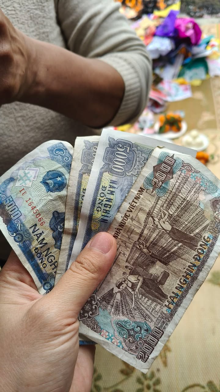 Đất nền Móng Cái 116m² giá hơn 1 tỷ - Tiềm năng tăng giá vượt trội!