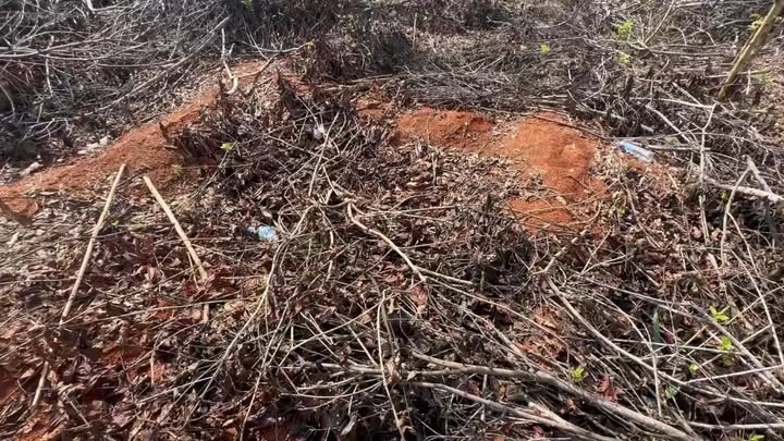 Đất Đak Đoa Gia Lai 3600m² Sổ Đỏ Rõ Ràng - Giá 1 Tỷ/Sào