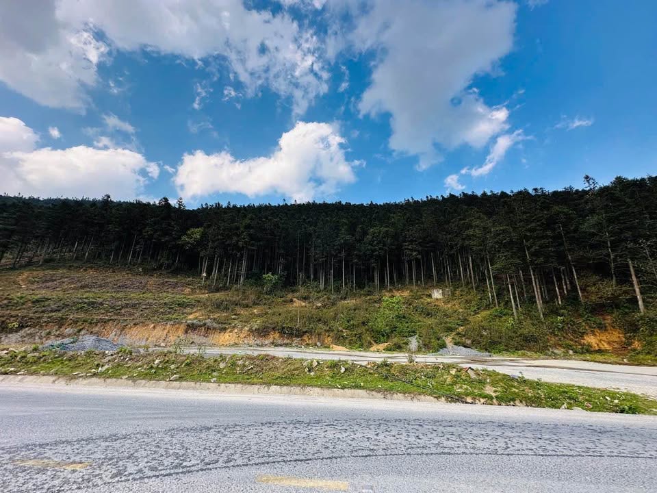 Đất nền 140m² mặt tiền 7m, Lào Cai - Vị trí đắc địa, tiềm năng đầu tư