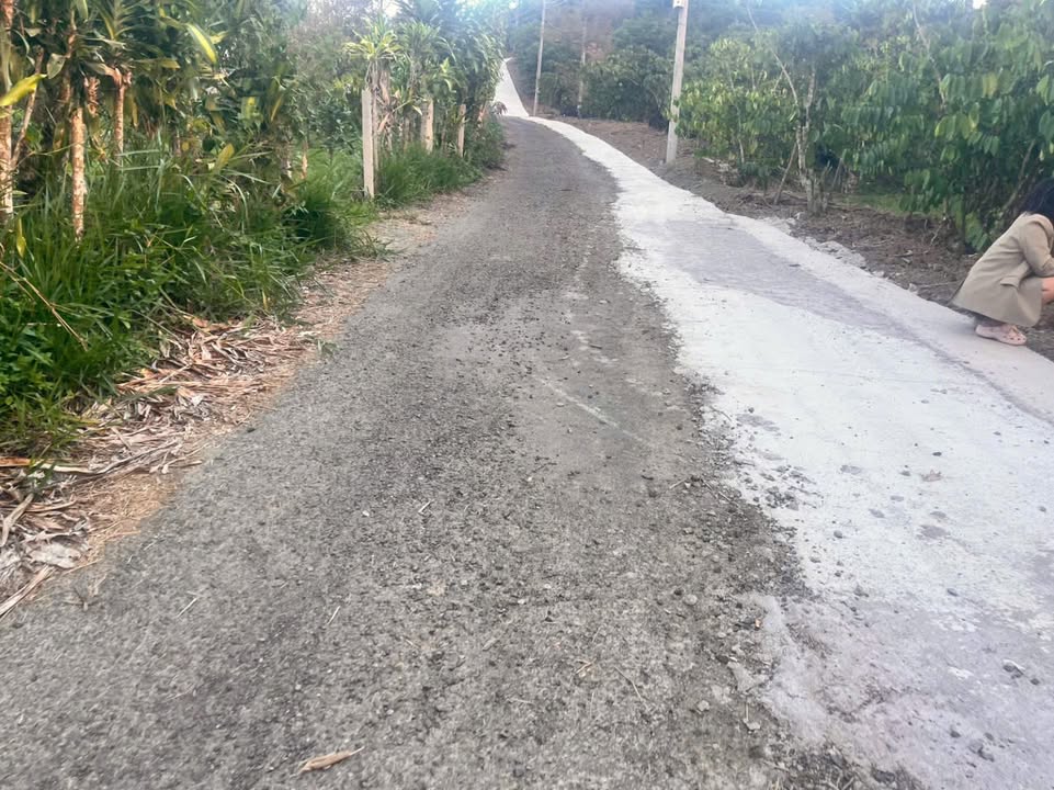 Đất Nền Cát Tiên 327m² Sổ Riêng Sắp Ra - Giá 550 Triệu Gần Phạm Văn Đồng