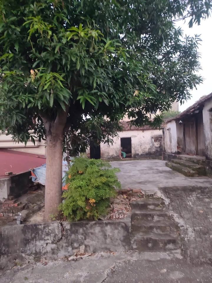 Đất nền Gia Bình, Bắc Ninh 160m² - Ngõ rộng ô tô đỗ cửa