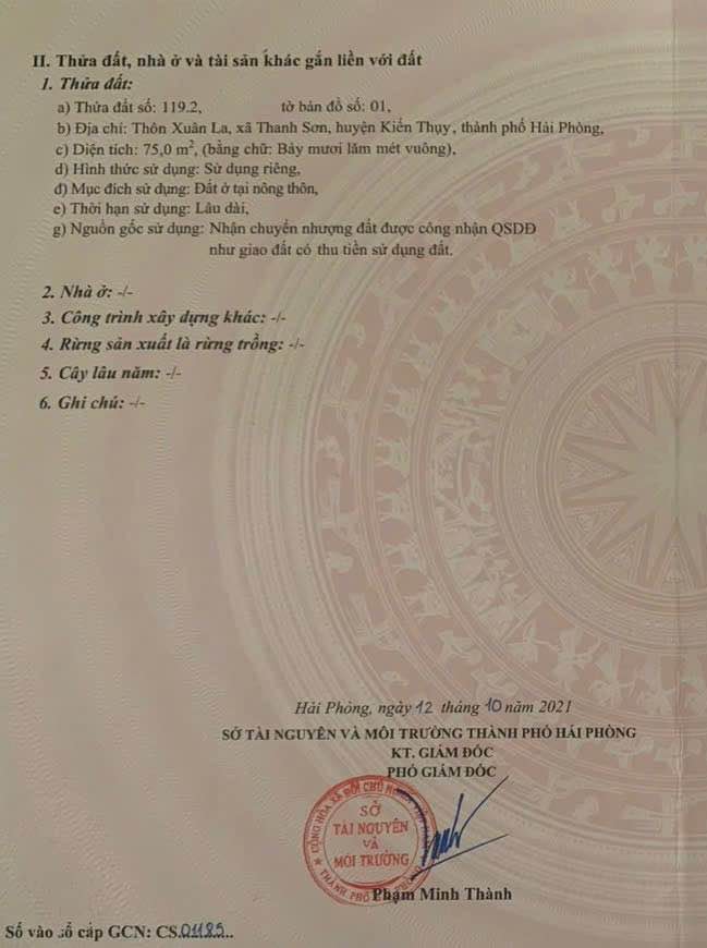 Đất nền Thanh Sơn Kiến Thụy 75m² - Sổ đỏ chính chủ, xây dựng tự do!