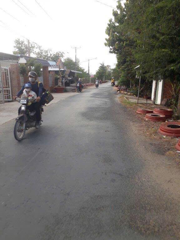 Đất Nghỉ Dưỡng 5000m² Hậu Giang - Lộ Ô Tô Tới Chỗ, Có Nhà Yến Thu Nhập Khủng