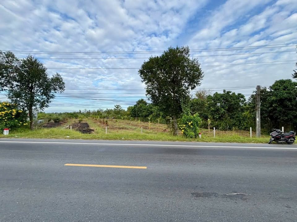 Đất Mặt Tiền Quốc Lộ 61C Phong Điền - 7850m² Sổ Đỏ, Giá Đầu Tư 5.x Tỷ