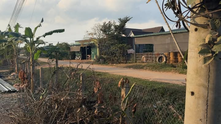 Đất nền Ea Ô, Ea Kar 416m² - Sổ đỏ thổ cư, mặt tiền đường lớn!