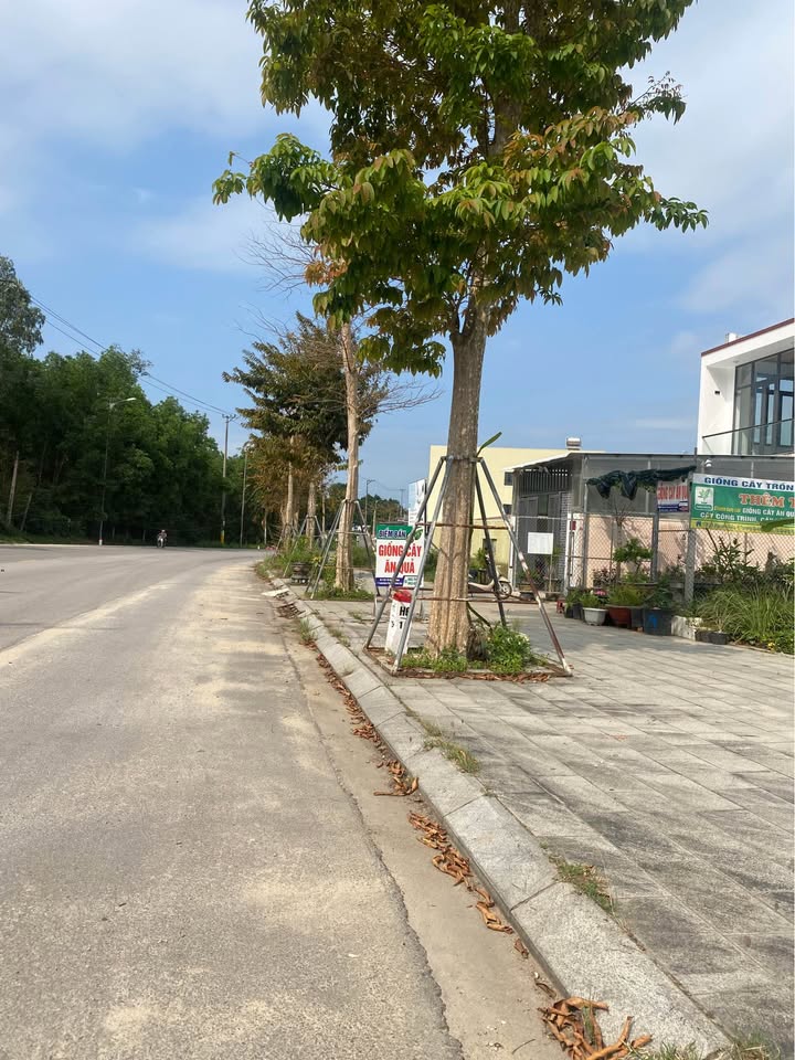 Nhà Mặt Tiền Võ Nguyên Giáp, Thủ Đức 100m² - Kinh Doanh Sầm Uất, Hướng Nam Mát Mẻ