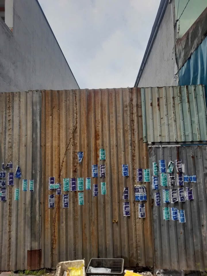 Đất Nền Bình Chánh 64m² - Sổ Hồng Sẵn Sàng - Giá 790 Triệu TL