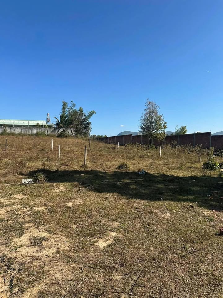 Đất Nền Kon Tum 116m² - Mặt Tiền Ngô Văn Sở, Phường Lê Lợi - Giá Tốt