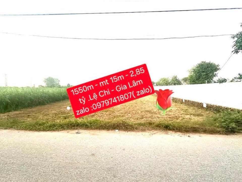 Đất Farm 1550m² Sen Hồ, Tiên Du – Sổ đỏ chính chủ, đường lớn