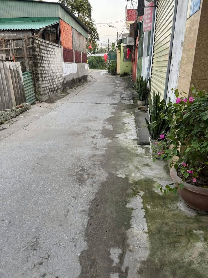 Bán Đất 98.6m² Ngõ Nguyễn Đức Cảnh, Vinh - Sổ Đỏ Sẵn Sàng, Giá Đầu Tư
