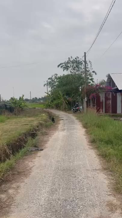 Đất nền Củ Chi 374m² giá 1.5 tỷ - Sổ đỏ chính chủ!