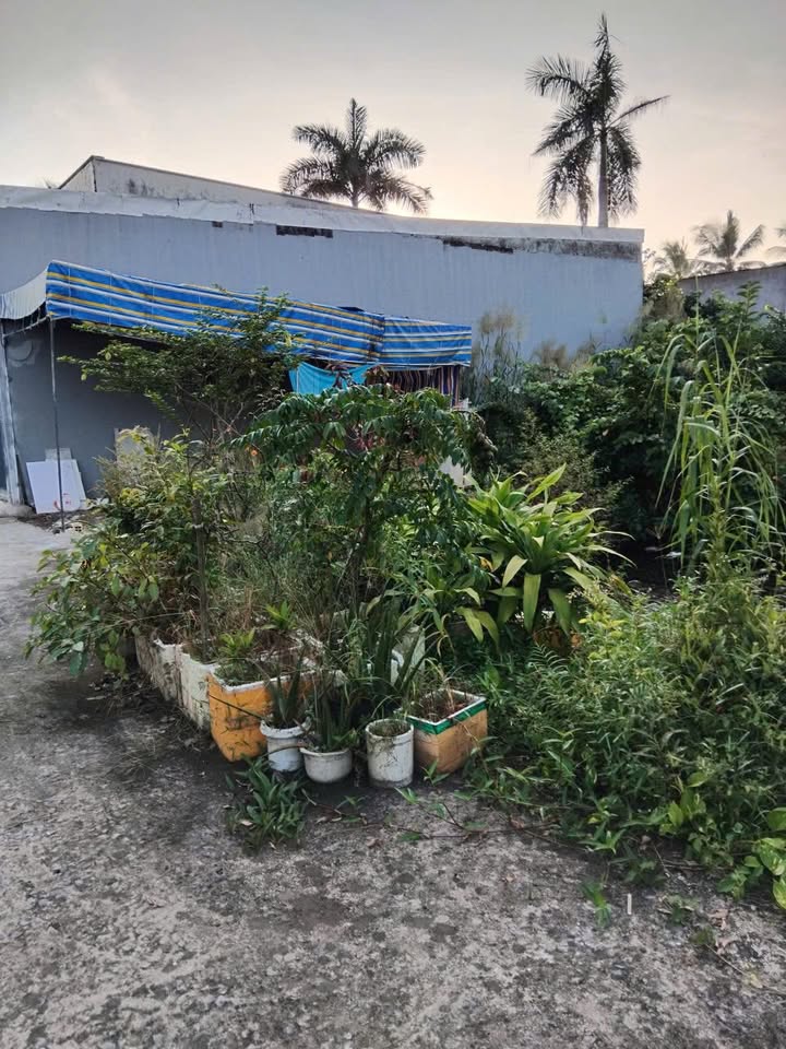 Bán Đất Ninh Kiều 300m² - Lộ Ô Tô, Sổ Hồng, Giá Tốt Cần Thơ