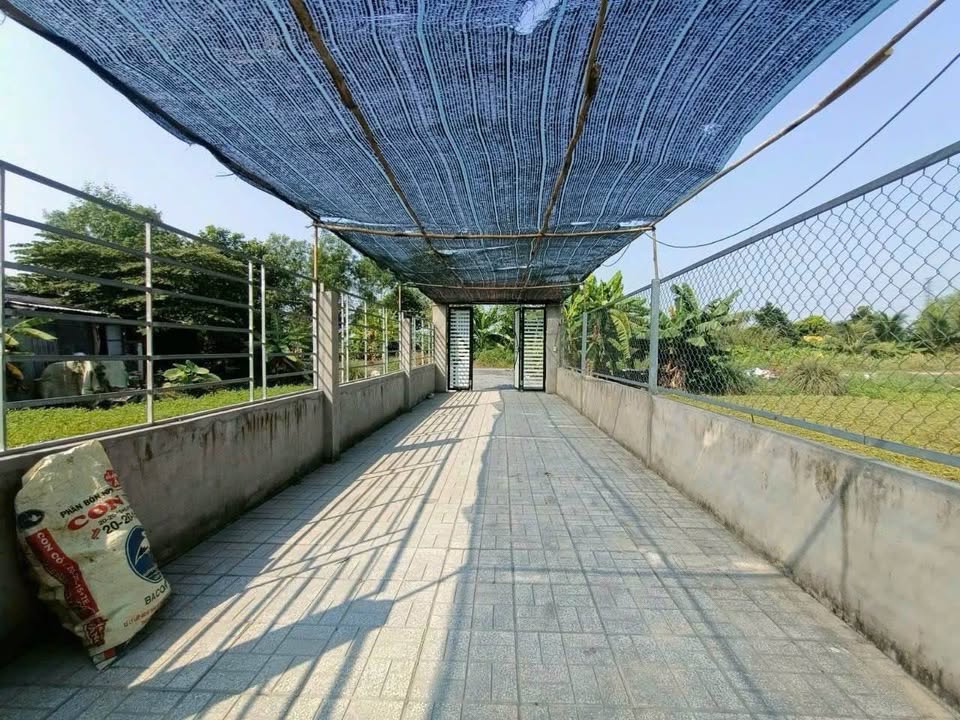 Bán Gấp Nhà Vườn Bình Mỹ Củ Chi 606m² Mặt Tiền Kênh - Giá 2.9 Tỷ