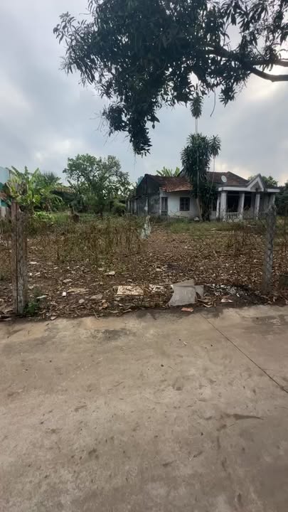 Đất nền Ấp 5 Sông Trầu, Trảng Bom 445m² giá 1.75 tỷ - Sổ đỏ chính chủ!