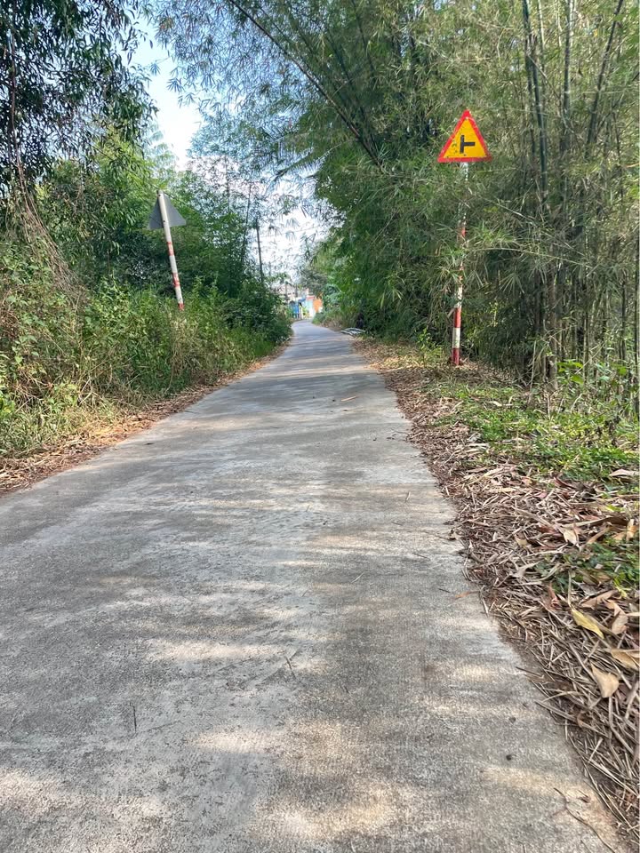 Đất nền Xã Phú Hòa Định Quán 200m² - Sổ đỏ chính chủ, xây dựng tự do!