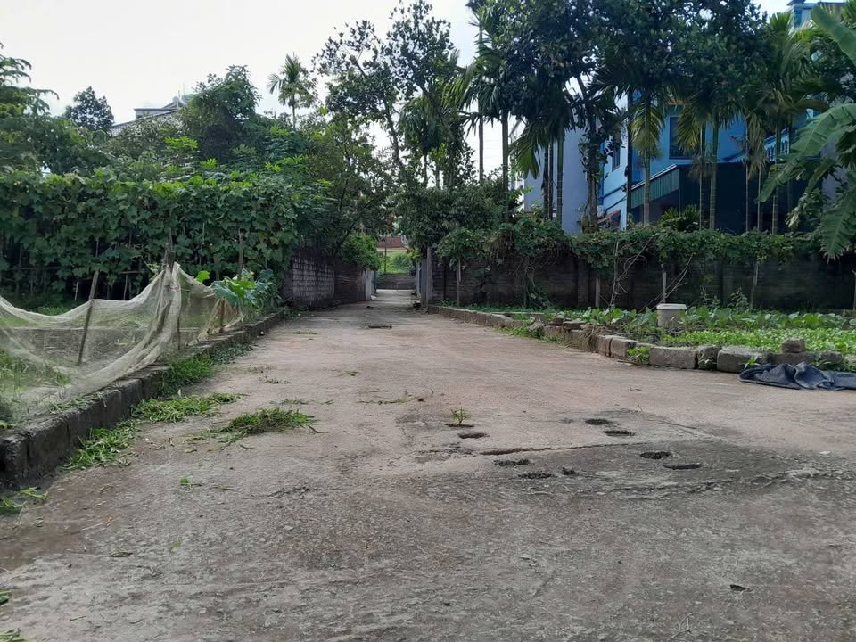 Đất Nền Kim Châu, Thanh Oai 40.8m² - Tiềm năng tăng giá vượt trội!