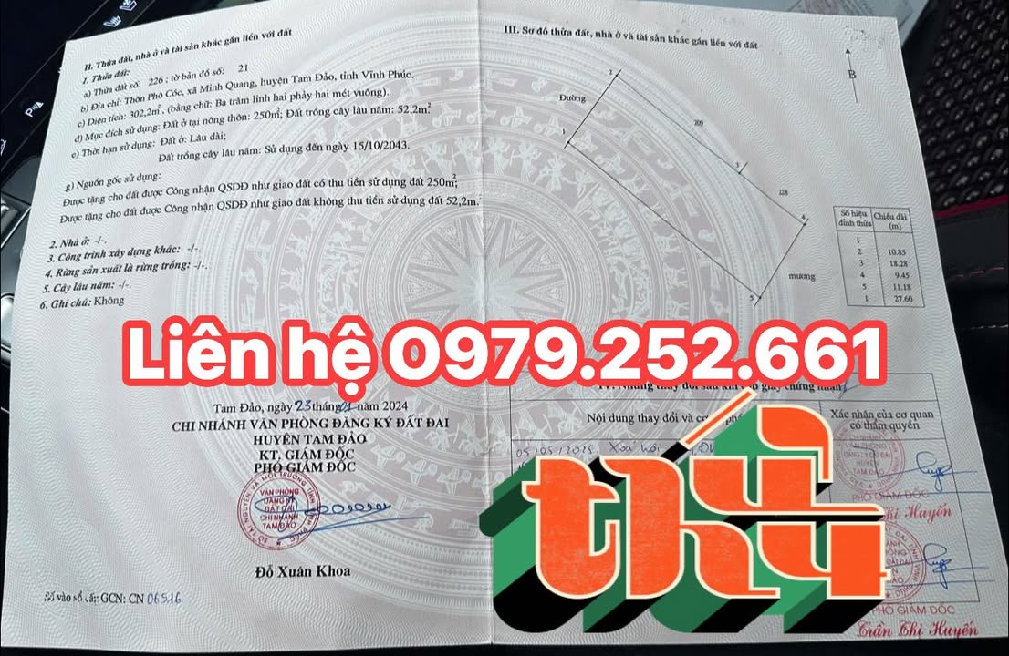 Đất nền Tam Đảo 302m² giá 2 tỷ - Tiềm năng tăng giá!